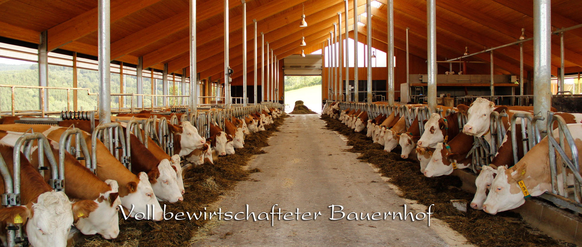 Urlaub auf einem voll bewirtschafteten Bauernhof in Bayern